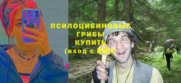 винт Елизово